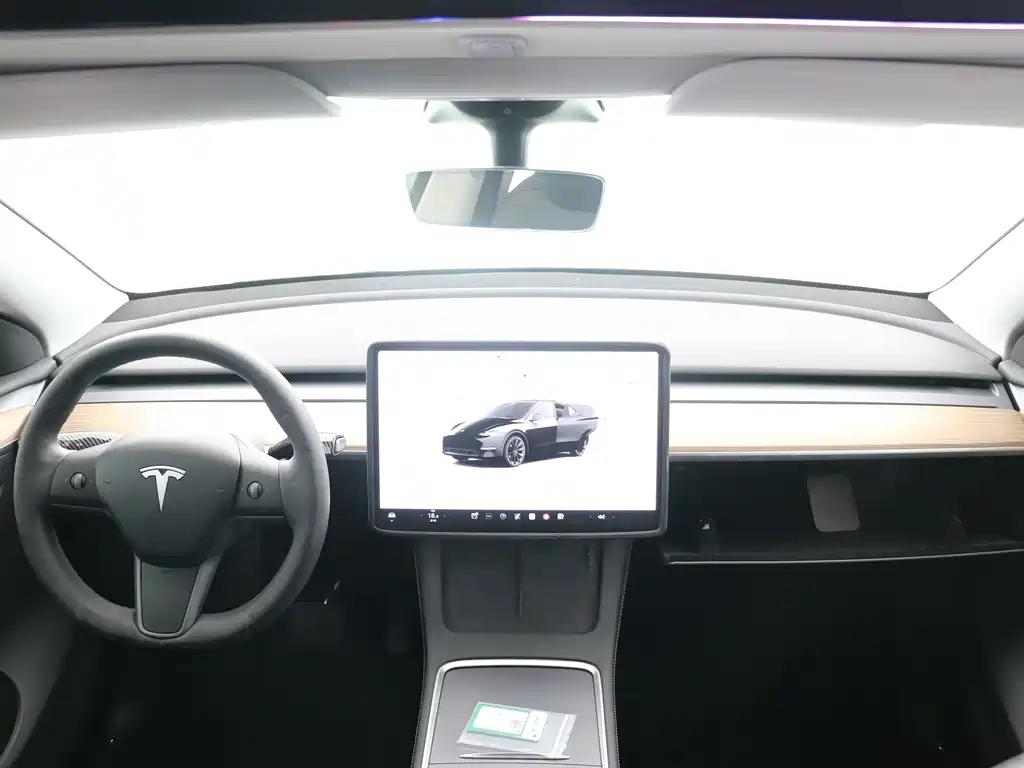 Tesla Model Y — миниатюра 9