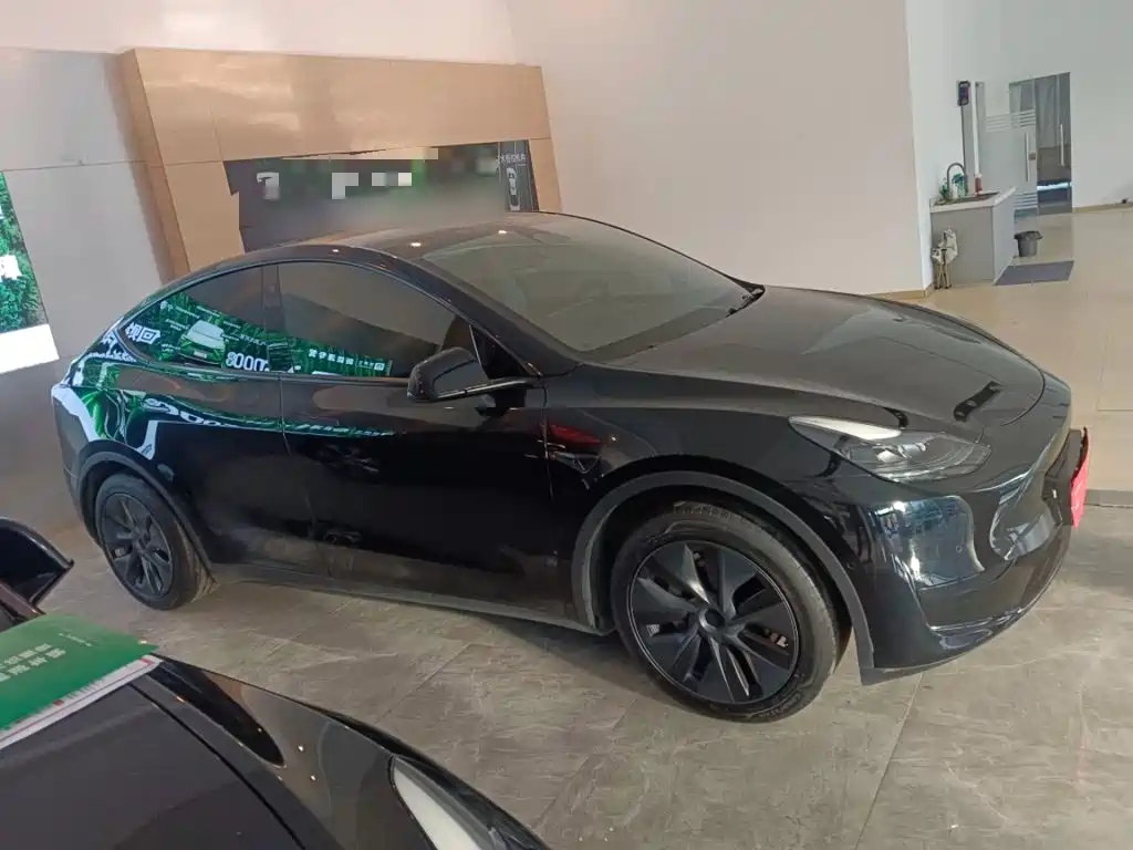 Tesla Model Y — миниатюра 5