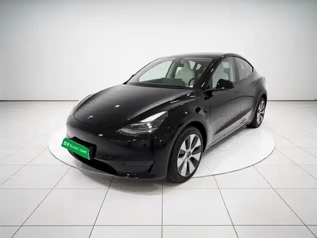 Tesla Model