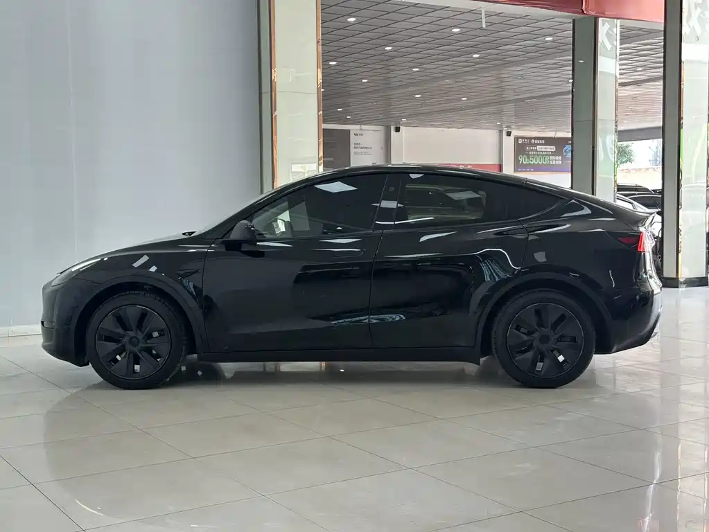Tesla Model Y — миниатюра 6