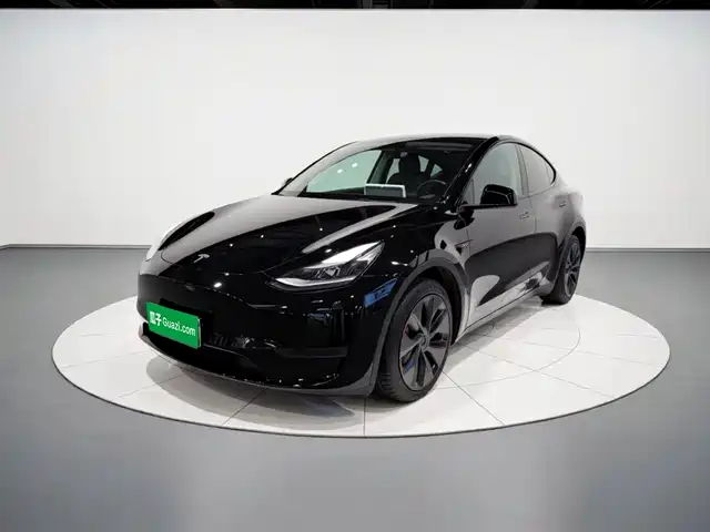 Tesla Model