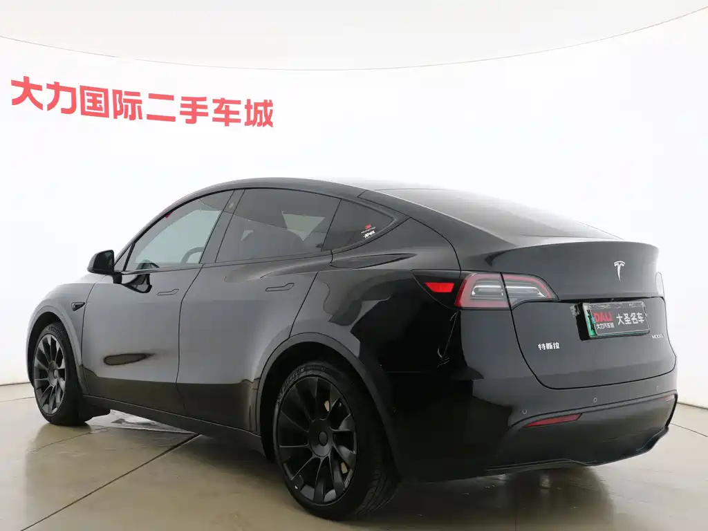 Tesla Model Y — миниатюра 15