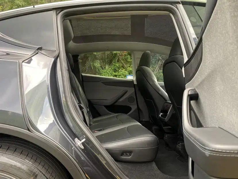 Tesla Model Y — миниатюра 15