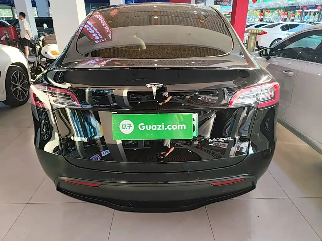 Tesla Model Y — миниатюра 6