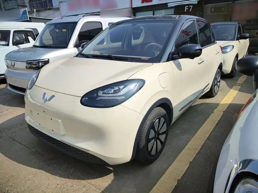 Wuling Binguo 2025 333km