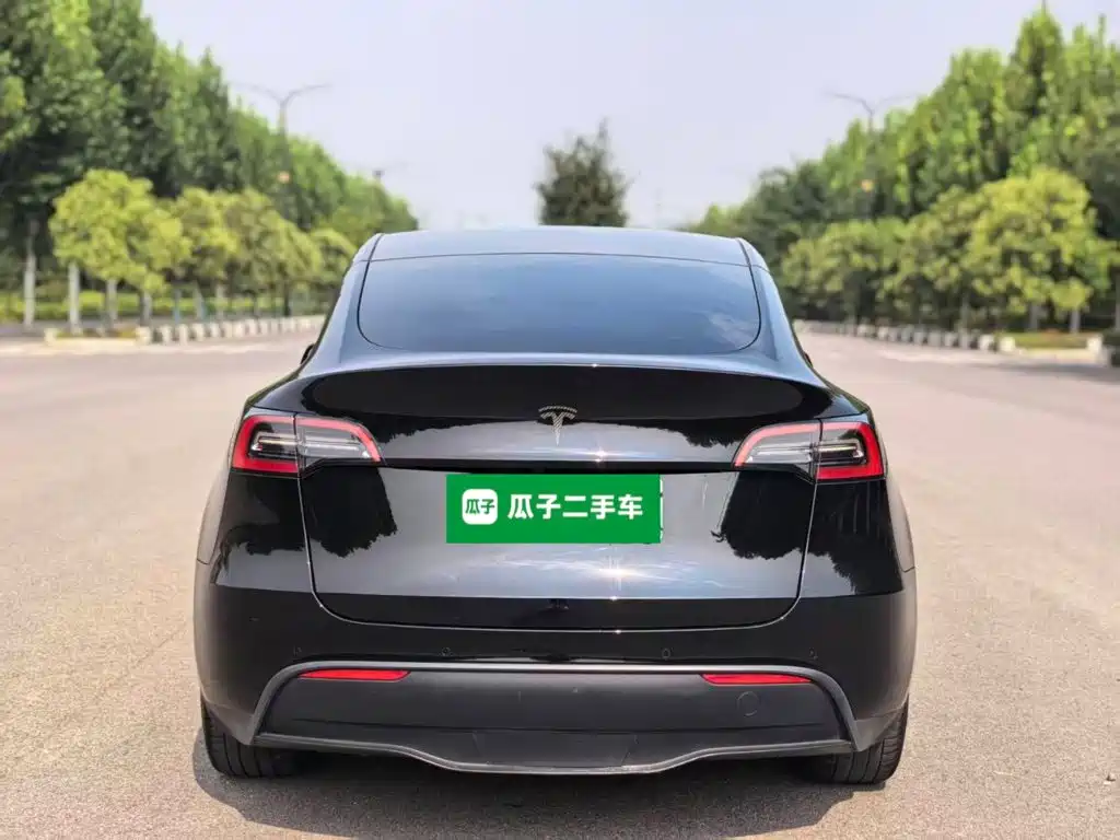 Tesla Model Y — миниатюра 6