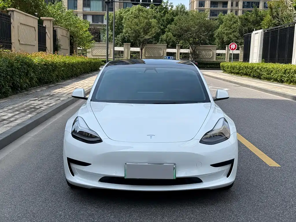 Tesla Model 3 — миниатюра 2