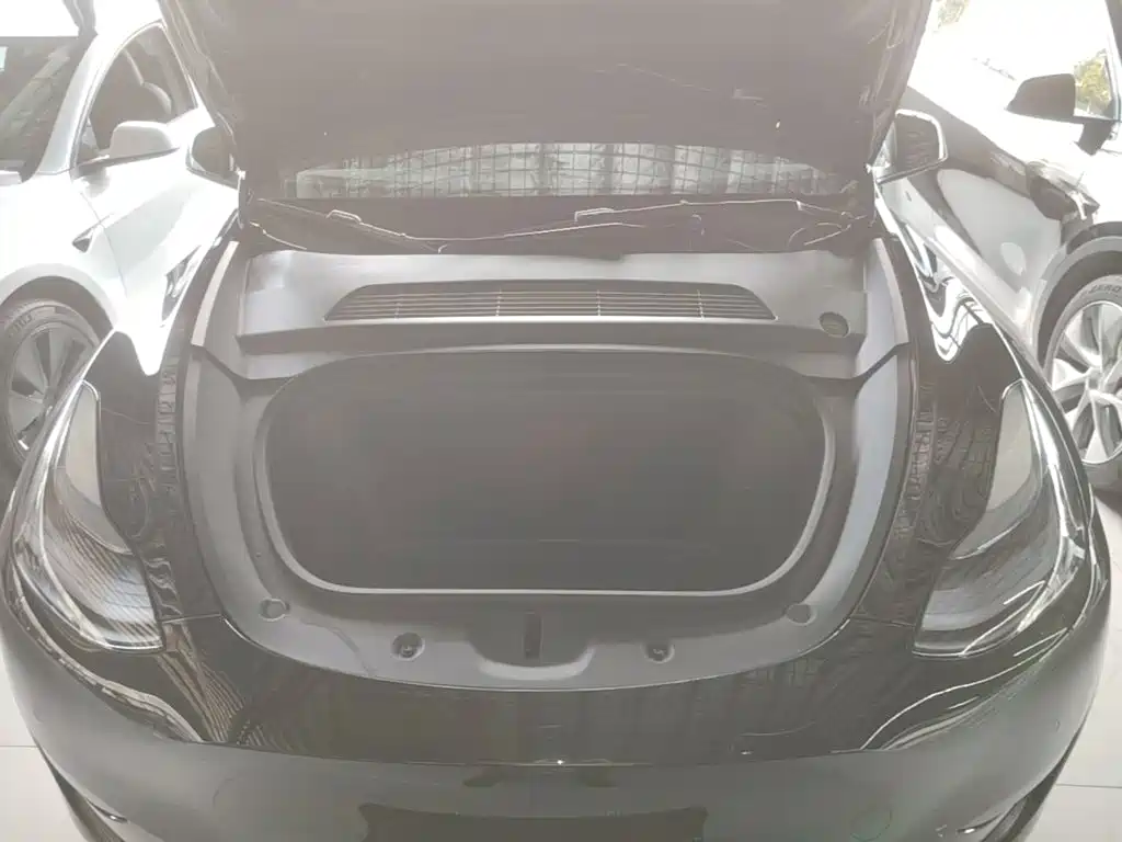 Tesla Model Y — миниатюра 20