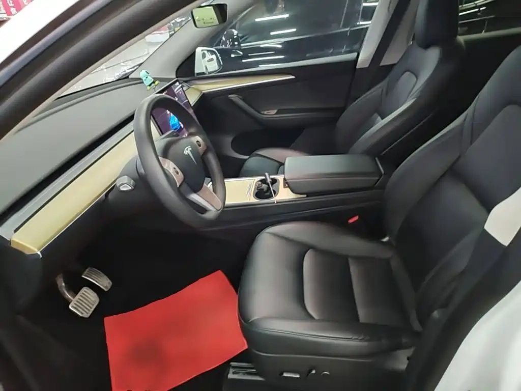 Tesla Model Y — миниатюра 15