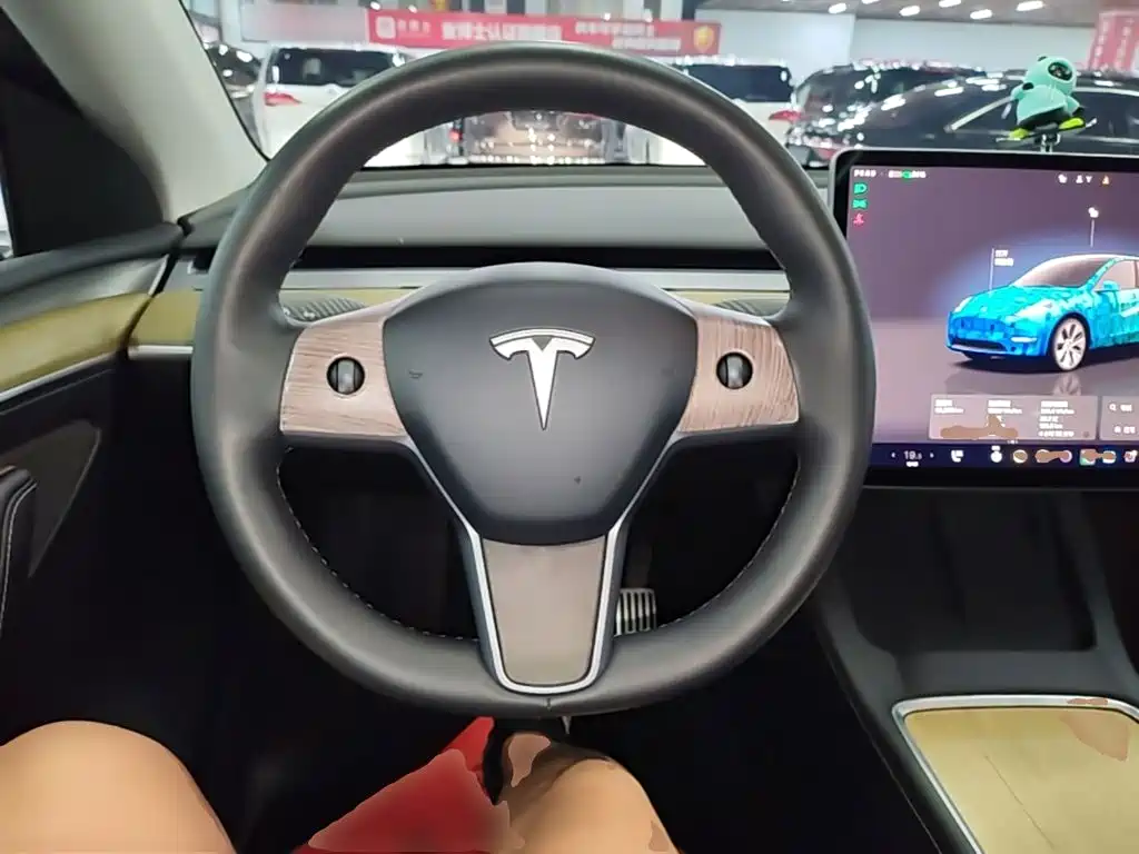 Tesla Model Y — миниатюра 11