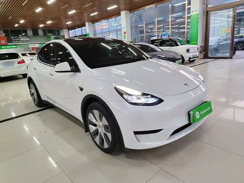 Tesla Model Y — миниатюра 4