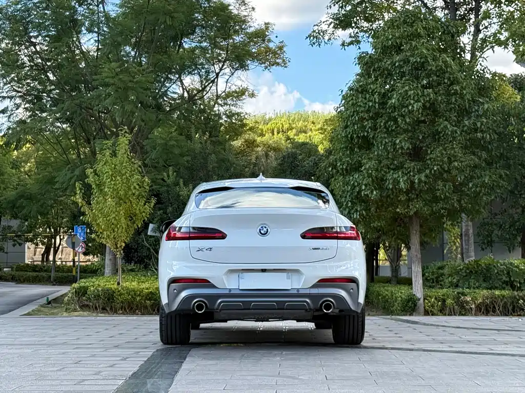 BMW X4 — миниатюра 8