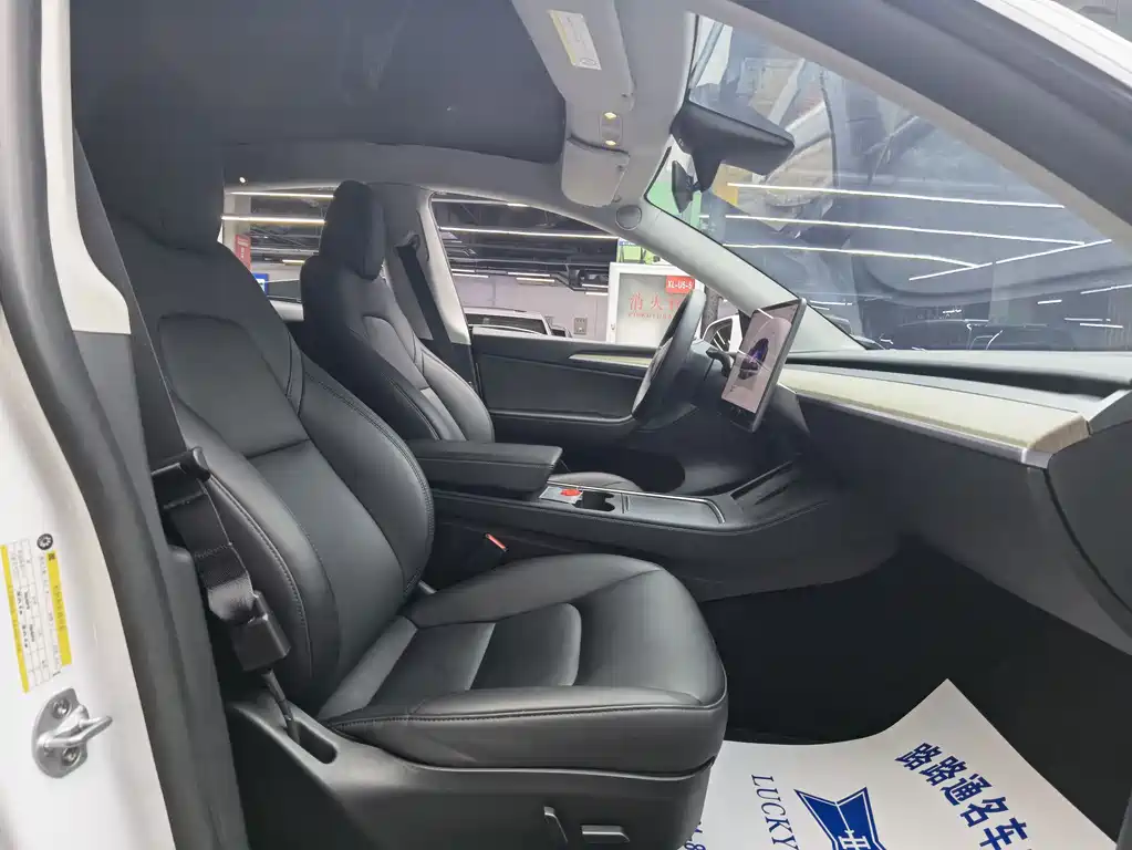 Tesla Model Y — миниатюра 8