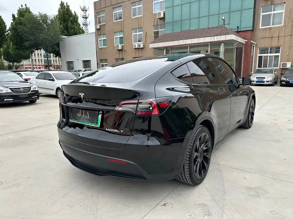 Tesla Model Y — миниатюра 9
