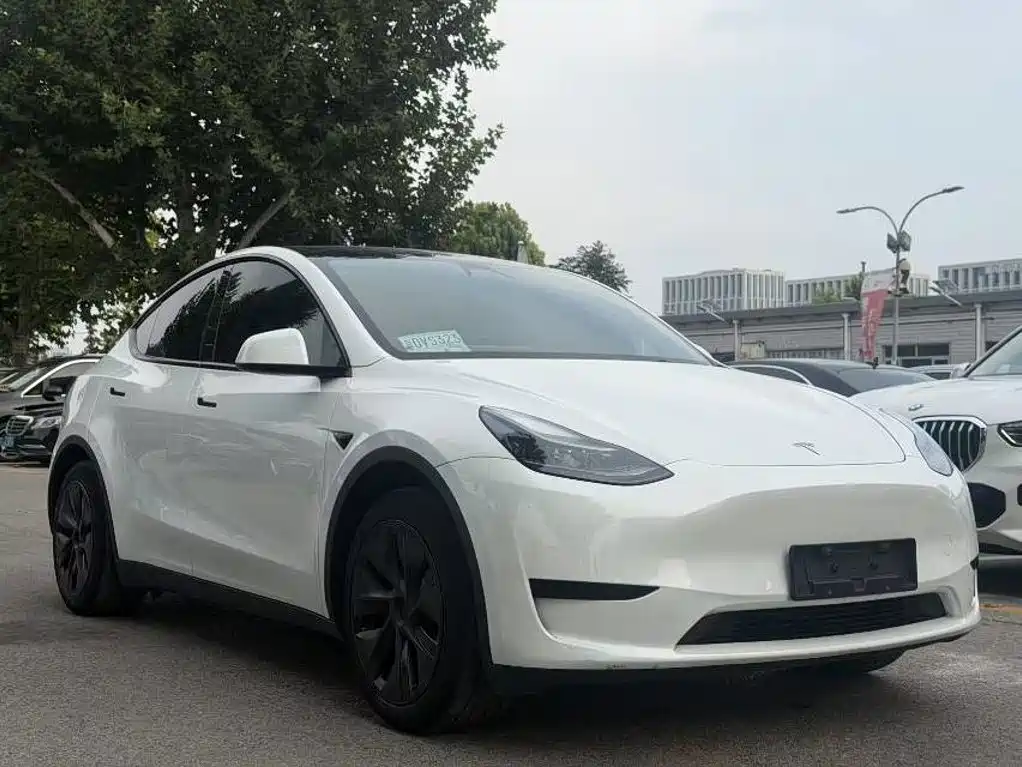 Tesla Model Y — миниатюра 2