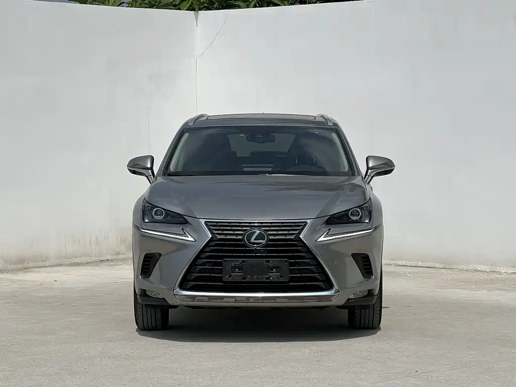 Lexus NX — миниатюра 2
