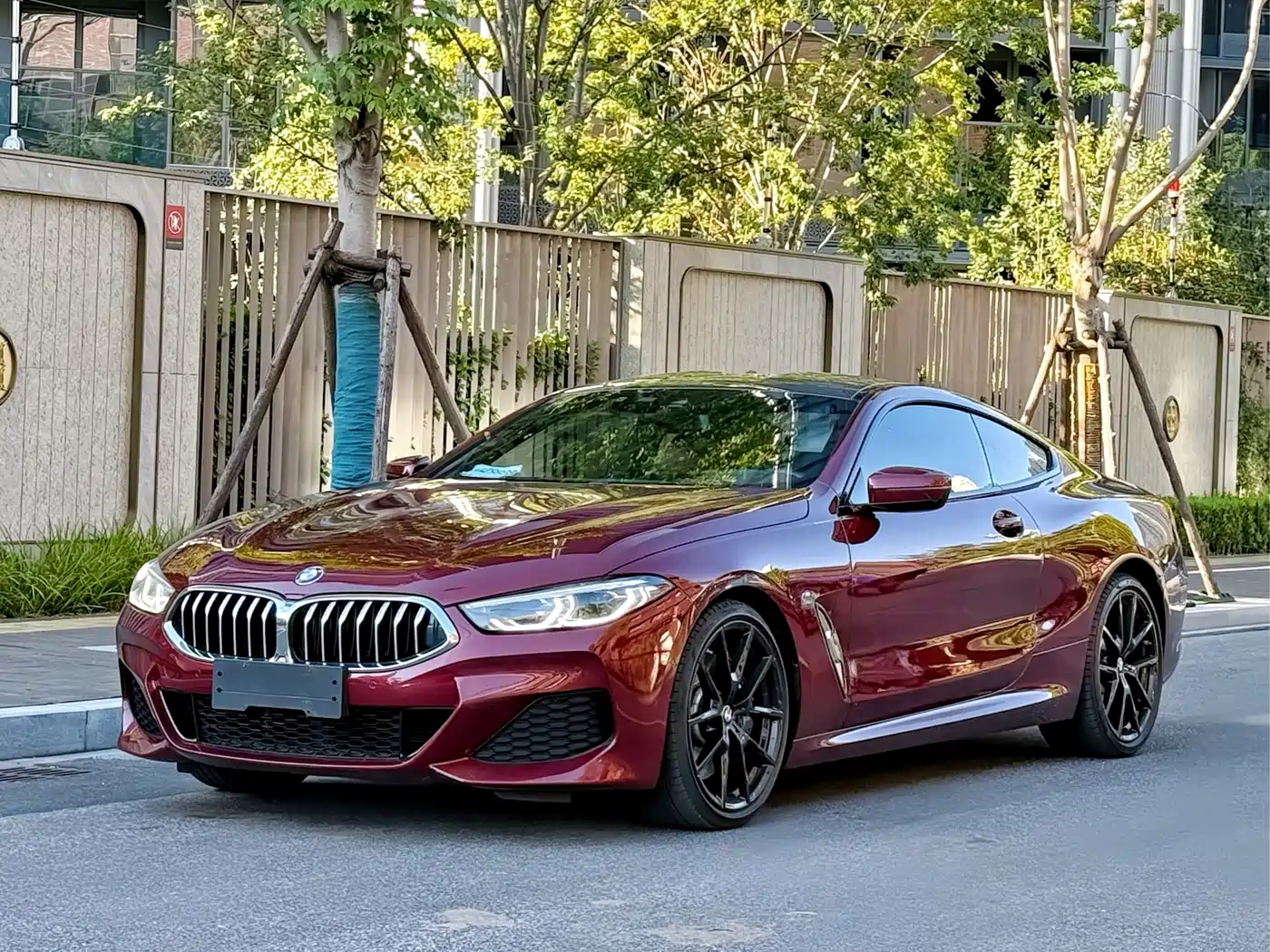BMW 8 Series
