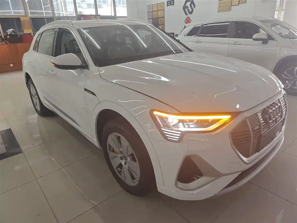 Audi e-tron 2021 50 quattro Luxury