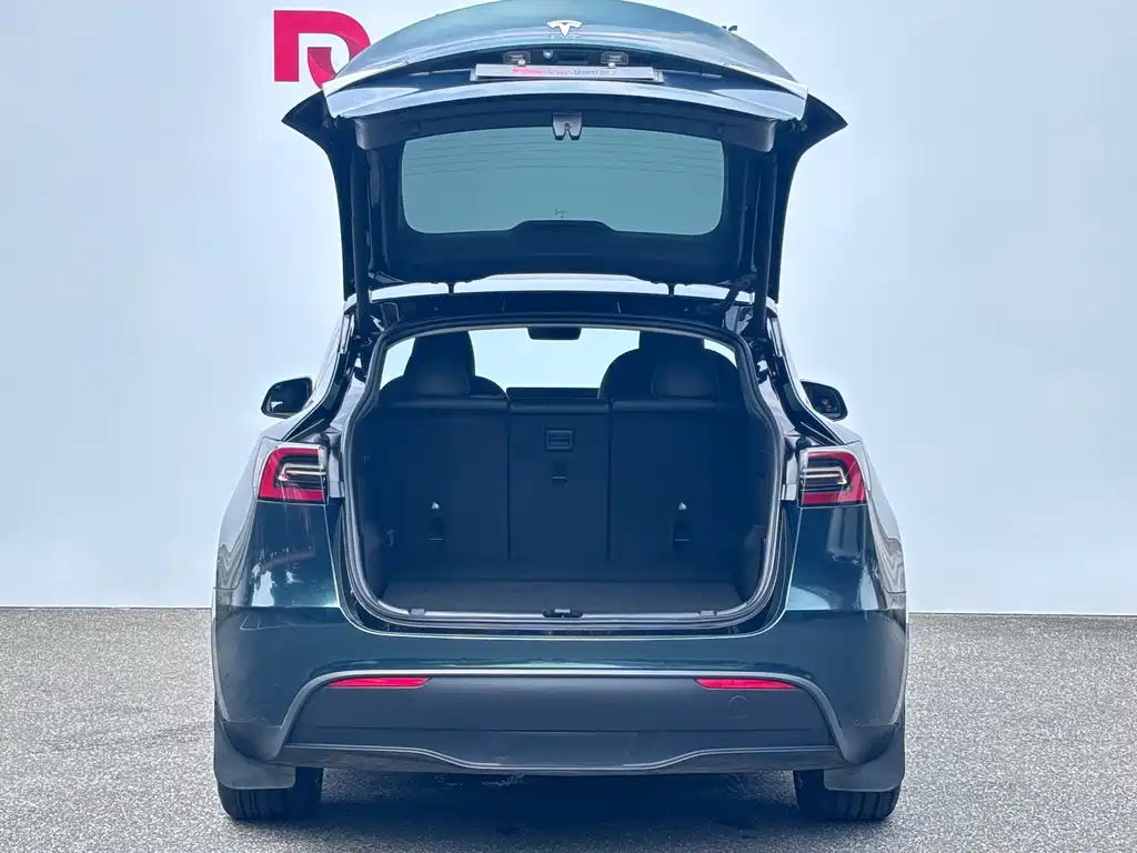 Tesla Model Y — миниатюра 11