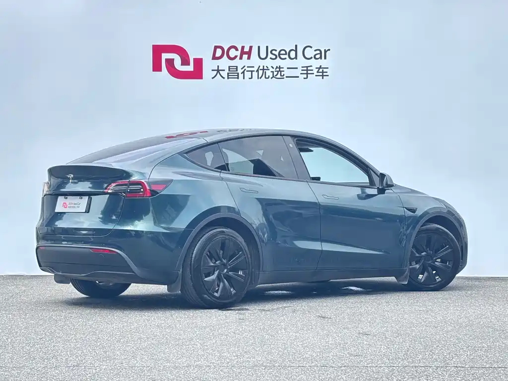 Tesla Model Y — миниатюра 5