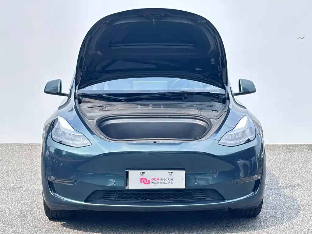 Tesla Model Y — миниатюра 10