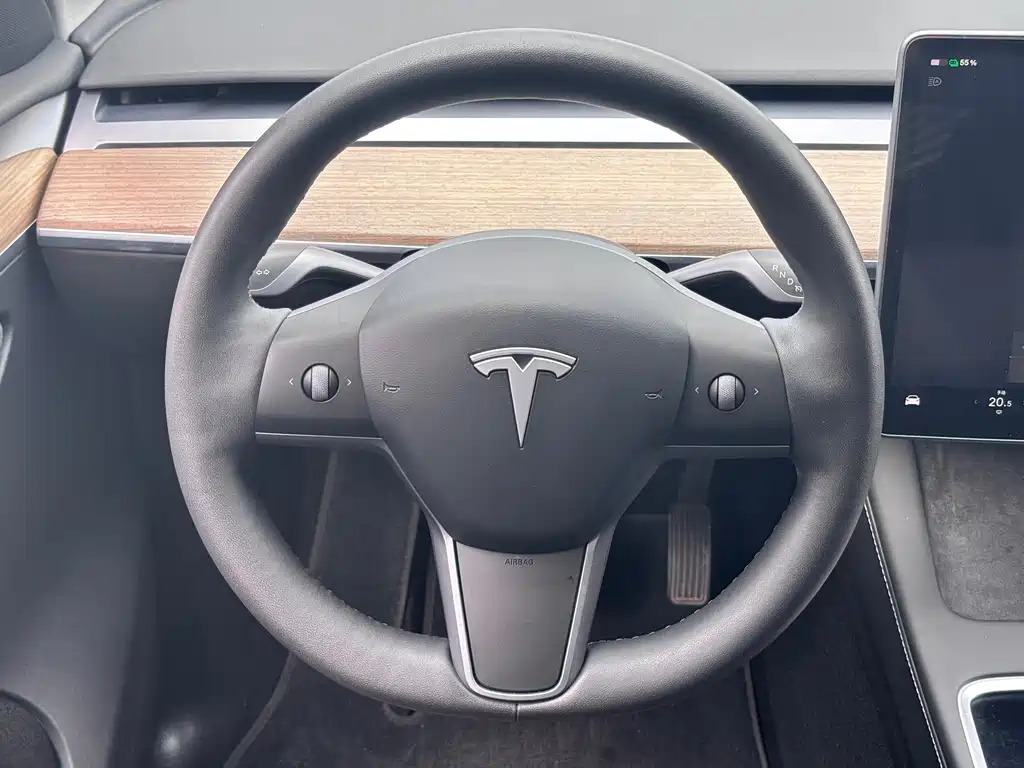 Tesla Model Y — миниатюра 14