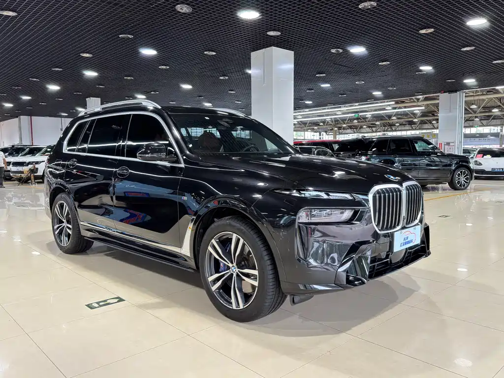 BMW X7 — миниатюра 3