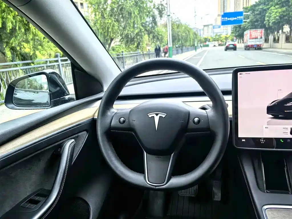 Tesla Model Y — миниатюра 13