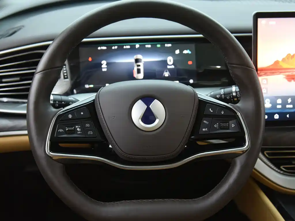 Denza Denza D9 — миниатюра 10