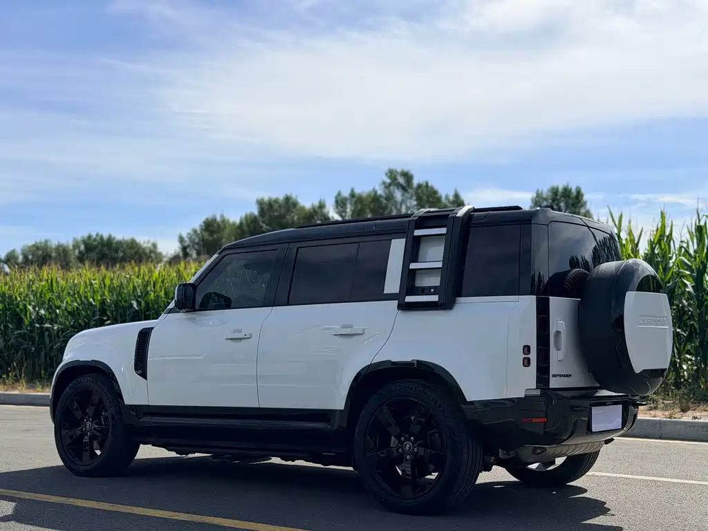 Land Rover Defender — миниатюра 16