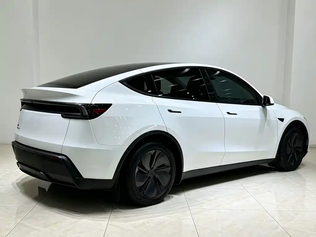 Tesla Model Y — миниатюра 21