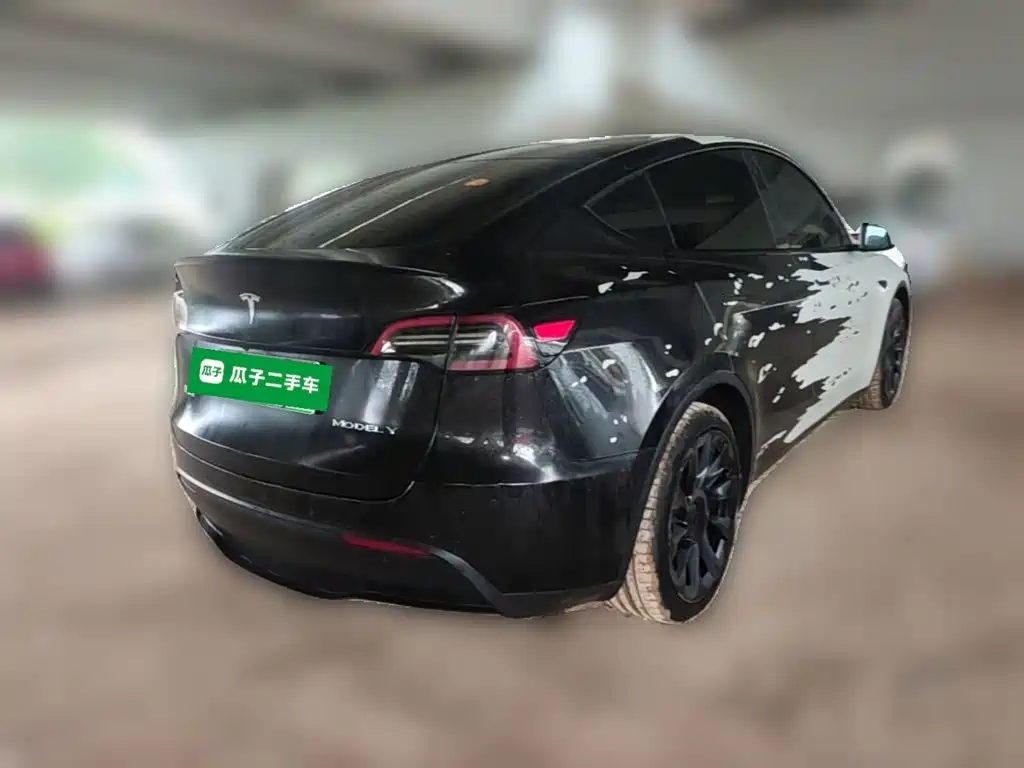 Tesla Model Y — миниатюра 10