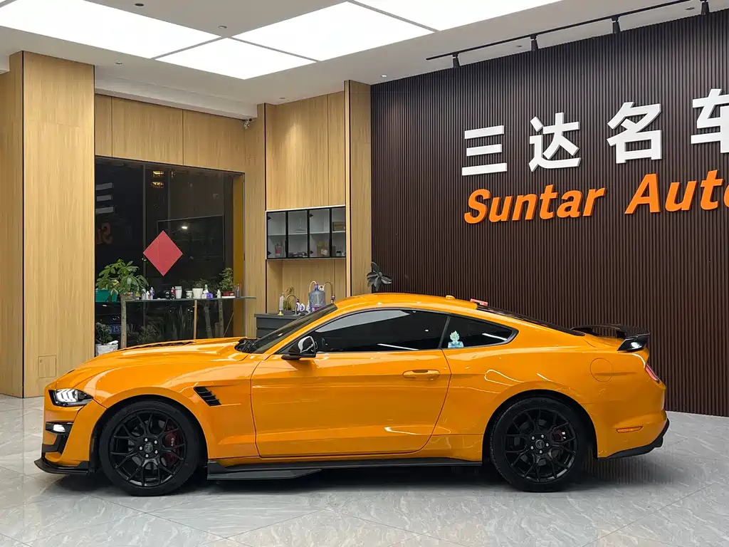 Ford Mustang — миниатюра 15