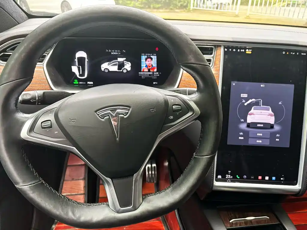 Tesla Model X — миниатюра 6