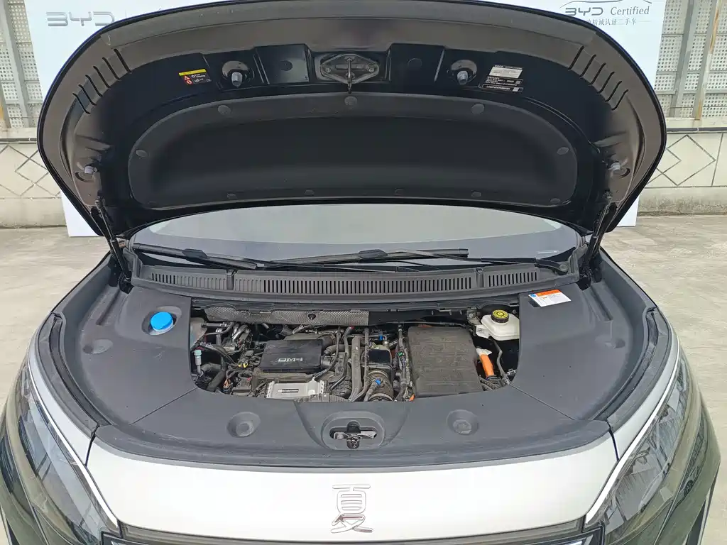 BYD Xia — миниатюра 6