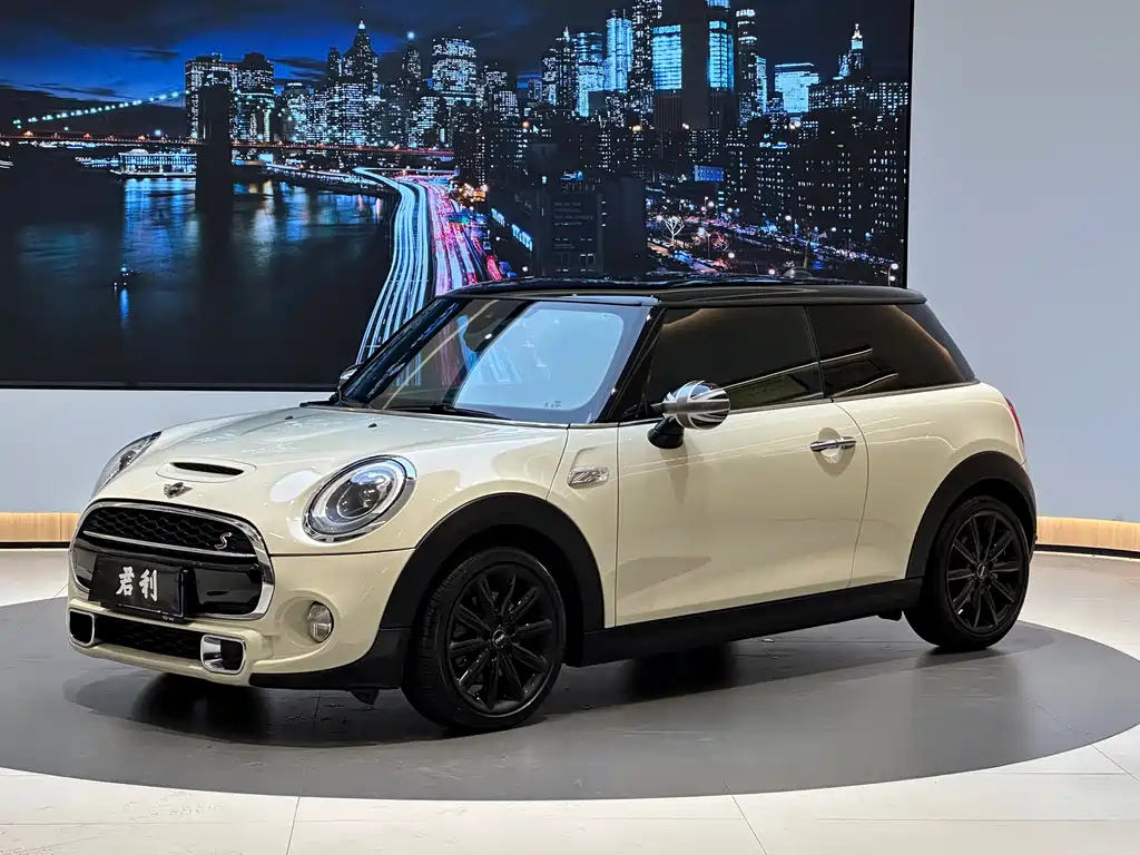 Mini Mini 2015