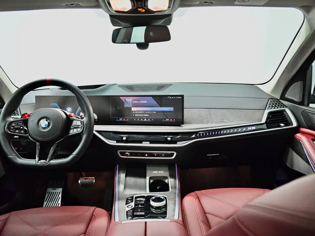 BMW X5 — миниатюра 8