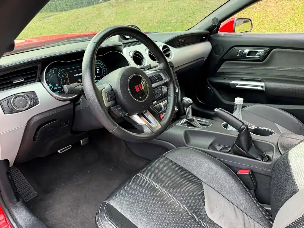 Saleen Mustang 5.0T titanium type, фото 7