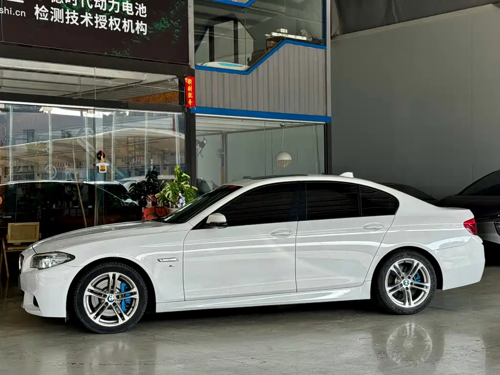 BMW 5 Series (Import) — миниатюра 2
