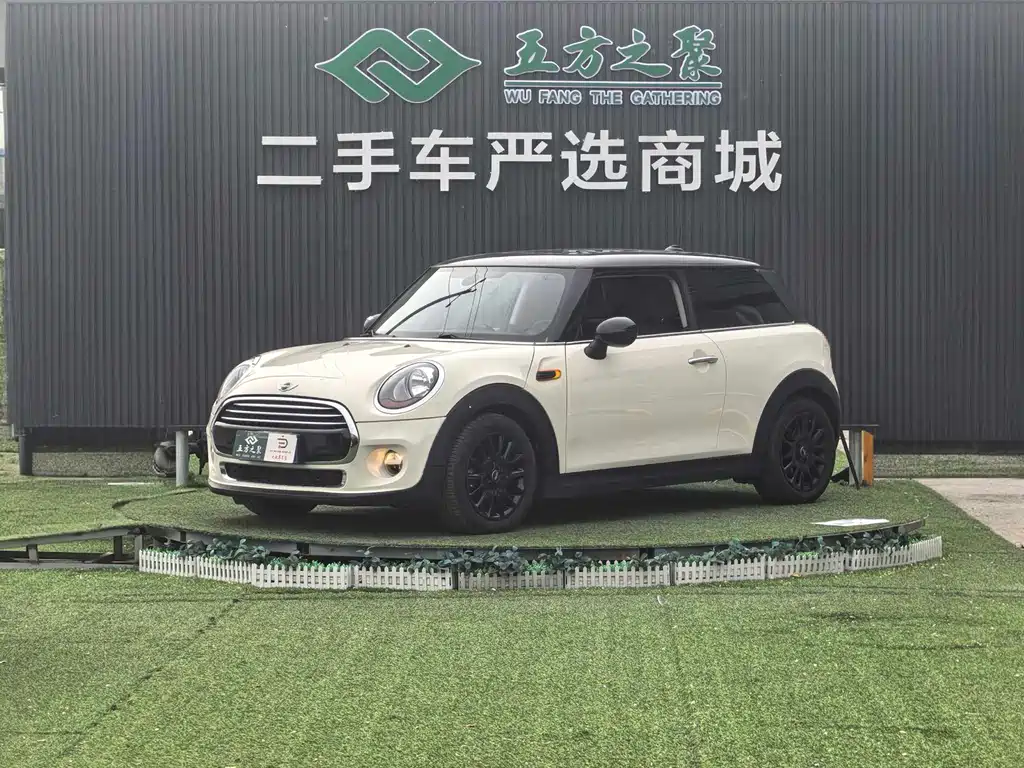 Mini Mini 2016