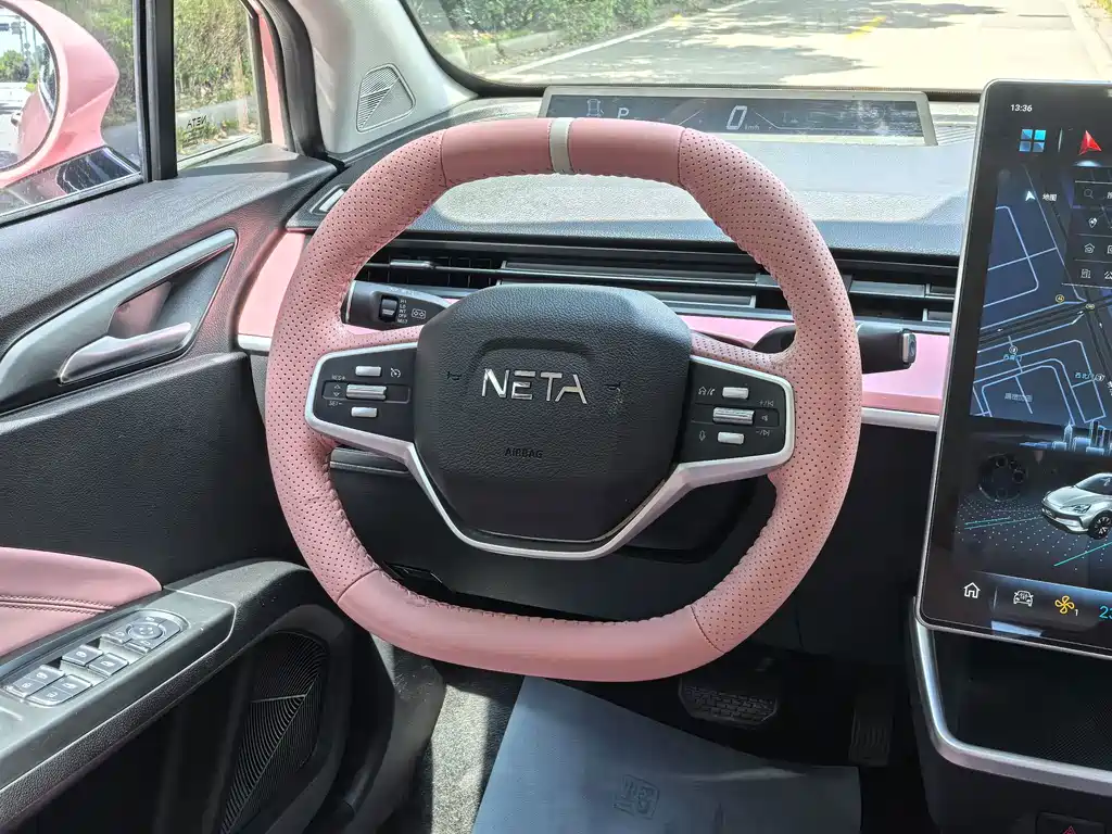 Neta Neta V — миниатюра 13