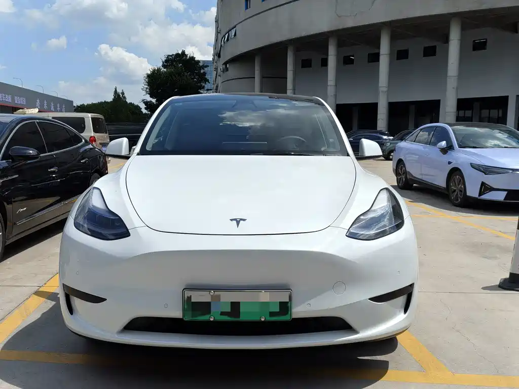 Tesla Model Y — миниатюра 2