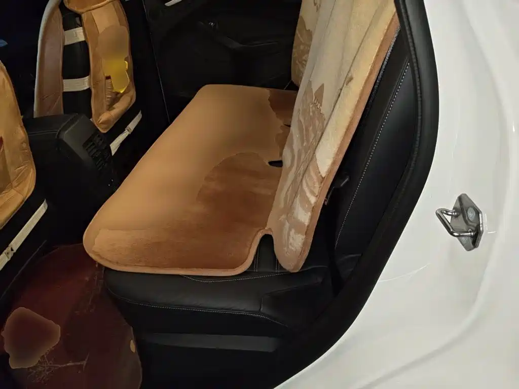 Ford Kuga — миниатюра 13