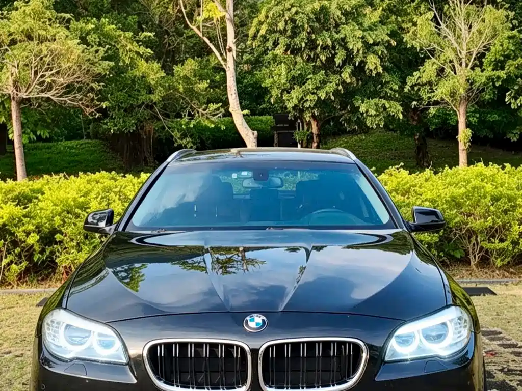 BMW 5 Series (Import) — миниатюра 2