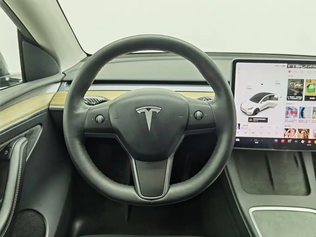Tesla Model Y — миниатюра 11