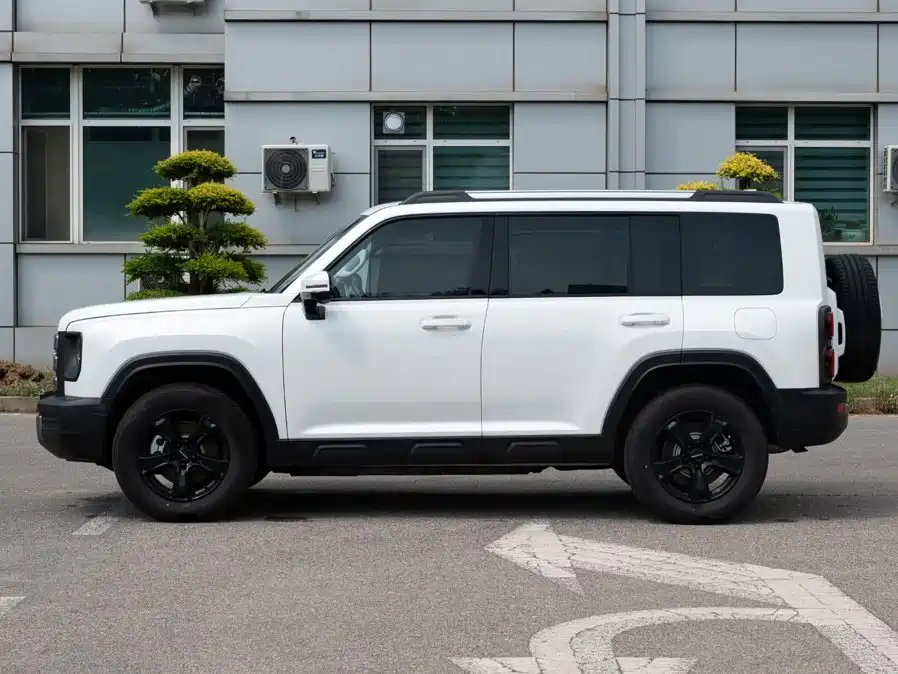 Haval Menglong New Energy — миниатюра 3