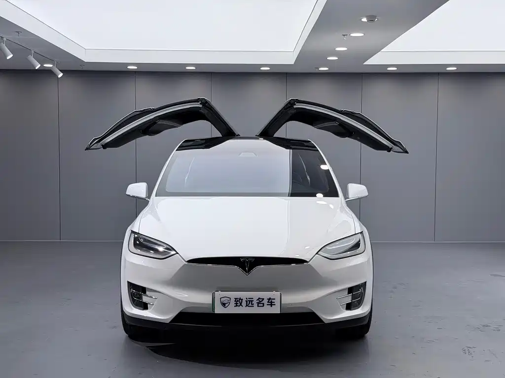 Tesla Model X — миниатюра 27