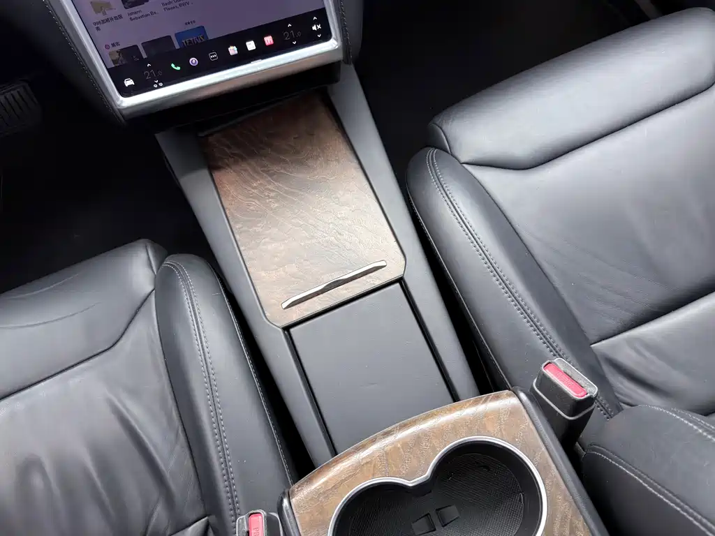 Tesla Model X — миниатюра 14
