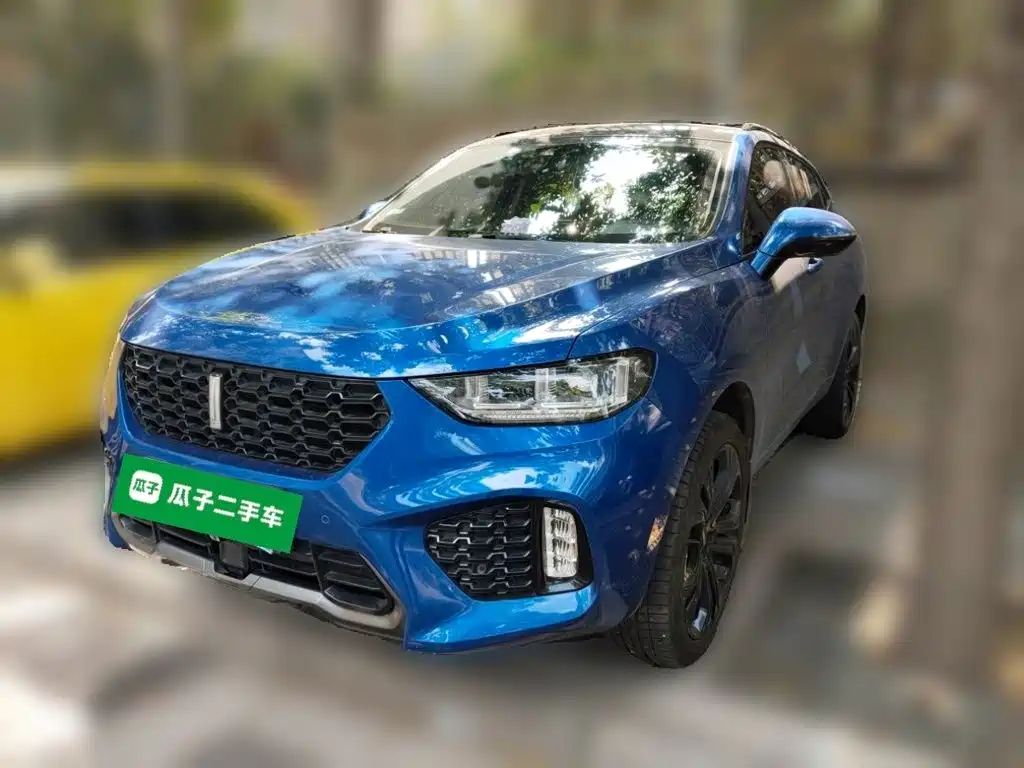 Wey Wey VV5