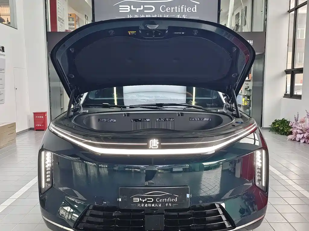 BYD Datang — миниатюра 2